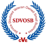 Service-Disabled Veteran-Owned Business
